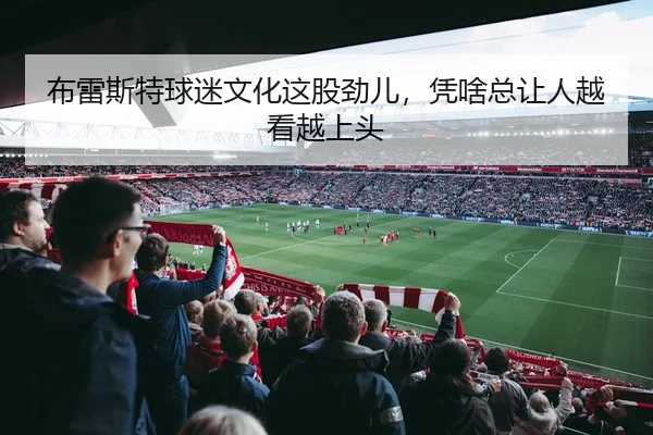 布雷斯特球迷文化这股劲儿，凭啥总让人越看越上头