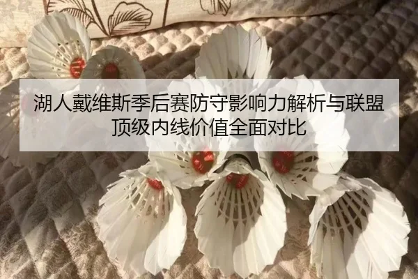 湖人戴维斯季后赛防守影响力解析与联盟顶级内线价值全面对比