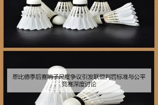 恩比德季后赛哨子尺度争议引发联盟判罚标准与公平竞赛深度讨论