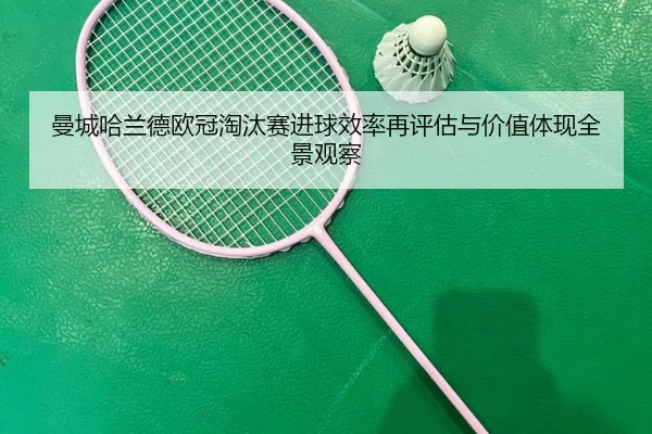 man-cheng-ha-lan-de-ou-guan-tao-tai-sai-jin-qiu-xiao-lv-zai-ping-gu-yu-jia-zhi-ti-xian-quan-jing-guan-cha-2-254.jpg