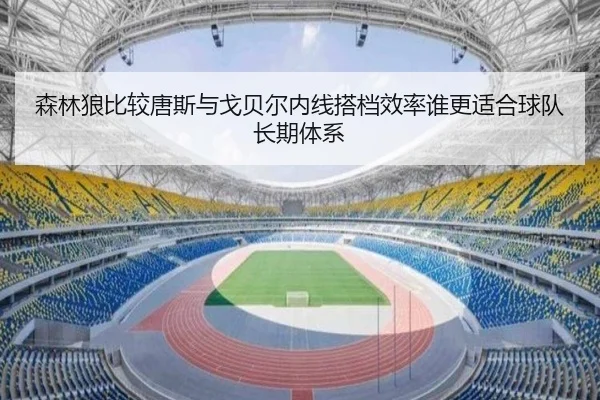 森林狼比较唐斯与戈贝尔内线搭档效率谁更适合球队长期体系